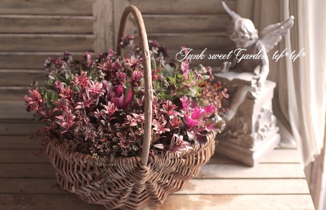 tef*tef*�󤻿���<BR>2015 * no28 *<BR><BR>���å��ʲ֤���