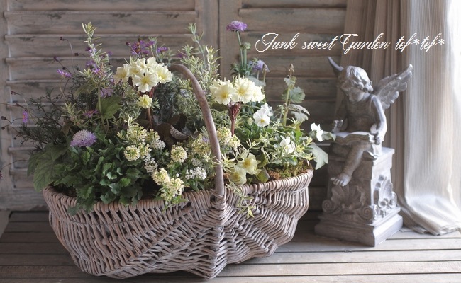 tef*tef*�󤻿���<BR>2015 * no30 *<BR><BR>���꡼��ߥѡ��ץ�֤���