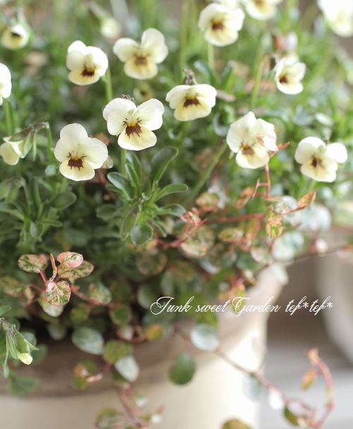 3.11 �����ƥ�.�ץ���������<BR><BR>��7�ͤξ��͡ٴ󤻿��� no.4