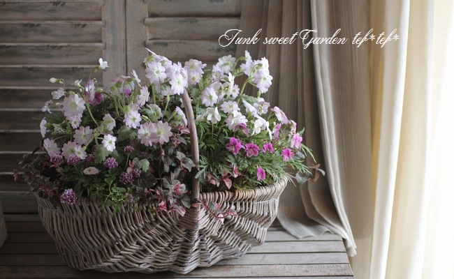 tef*tef*󤻿<BR>2015 * no41 *<BR><BR>ʥ뤫