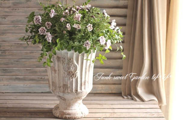tef*tef*�󤻿���<BR>2015 * no71 *<BR><BR>Ȭ�ťڥ���˥��إ��֥�ۥ磻�ȡ�