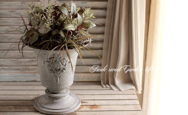 tef*tef*󤻿<BR>2015 * no75 *<BR><BR>ξإ祳