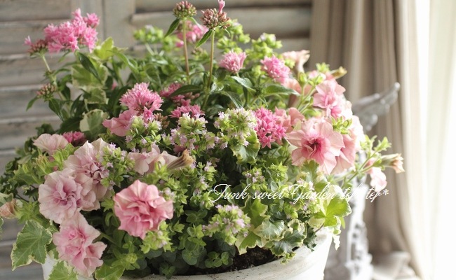 ぱぱさん専用 / Floraison 寄せ植えWORK SHOP🥀2024/8～12の開催レポート🌹 | 【公式】くみまち