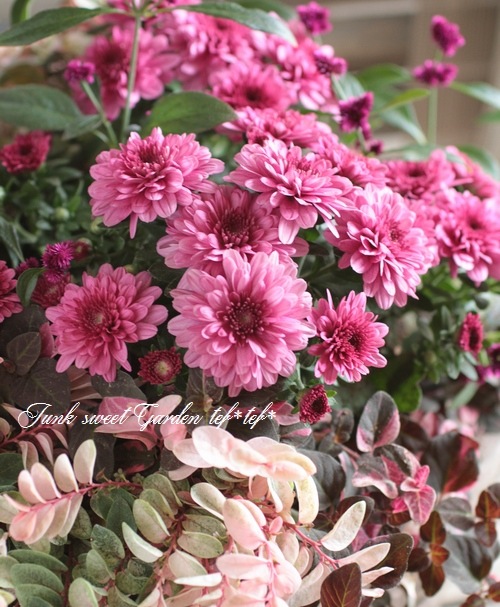 tef*tef*󤻿<BR>2015 * no95 *<BR><BR>ǥޥࡦԥ