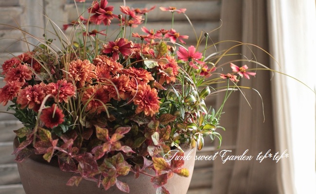 tef*tef*󤻿<BR>2015 * no98 *<BR><BR>ǥޥࡦå