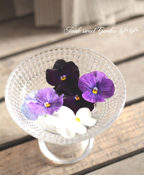 Ȭ���٥ӥ��顡�������ĥߥå������إ٥꡼�Υ�������������