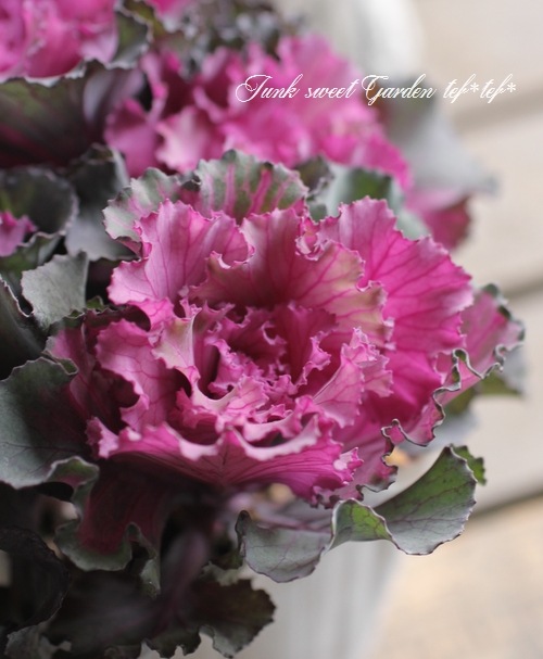 ֡Ωơߥ˥եղðإեȥǥ