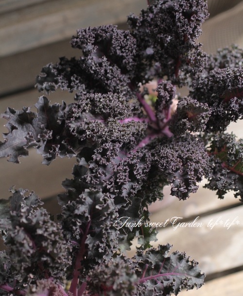 ե󥸤λ祱롡إѡץݥåס