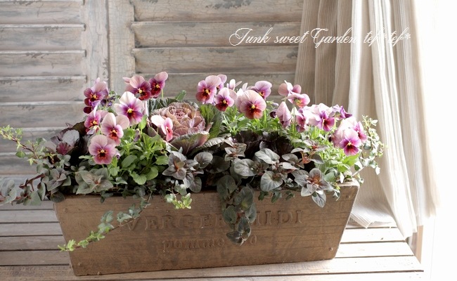 tef*tef*󤻿<BR>2015 * no.101 *<BR><BR>ղð⥫祳顦֤ɤ⤫