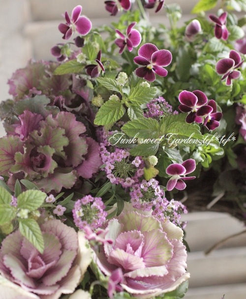 tef*tef*󤻿꡼<BR>2015 * no.106 *<BR><BR>ӥؤĤ֤ʤ̤١ղð