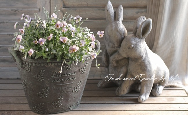 tef*tef*�󤻿���<BR>2015 * no.108 *<BR><BR>�ض˾��إӥ����