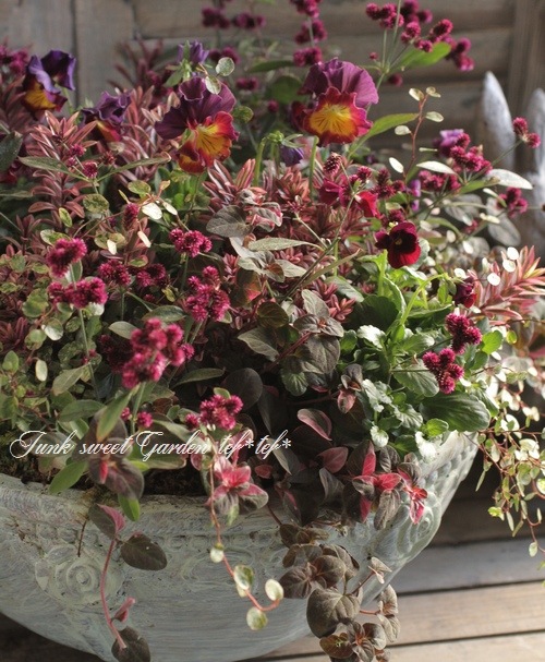 tef*tef*󤻿<BR>2015 * no.110 *<BR><BR>إ쥬 X'mas