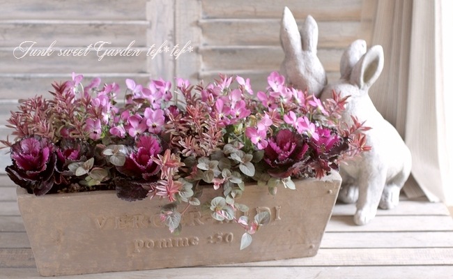 Tef Tef 寄せ植え Br 15 No 129 Br Br ビオラ ヒゲ紳士のワイングラス すべての商品 Junk Sweet Garden Tef Tef Tef Tef 寄せ植え Br 15 No 129 Br Br ビオラ ヒゲ紳士のワイングラス すべての商品 Junk Sweet Garden Tef Tef