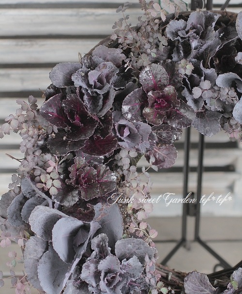 tef*tef*寄せ植えリース<BR><BR>2016 * no.56 *<BR>ブラックシルバーの