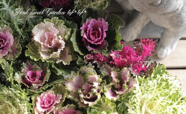 tef*tef*���̥֡�����Ω�ơ����Ȥ��ա����饭���ղ�ð���ظ��ҡ����ꥹ�ޥ�MIX��