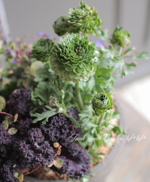 植物 77342◇ GUCCI グッチ/ リュックサック ナップザック/ ナイロン