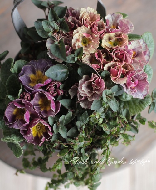 tef*tef*�󤻿��� 2017<BR> * no.11 *<BR>����ƥ������ѡ��ץ�