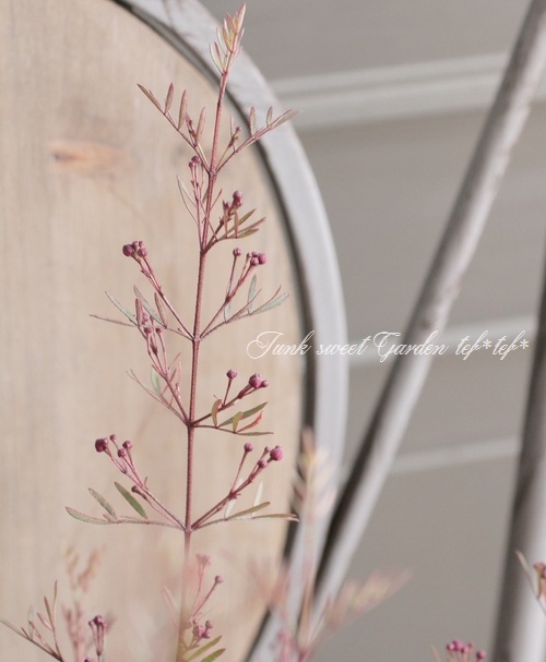 ������ܥ��˥����ԥʡ������إץ쥷�㥹1��