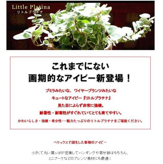 �إǥ顡�إ�ȥ�ץ���ʡ�