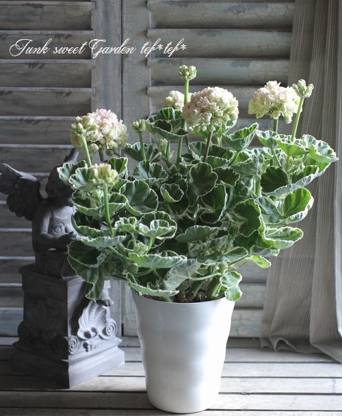 アップル様専用＊チェリーブロッサムまたはホワイトリッチ