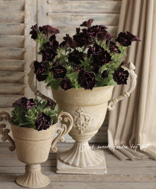 �ڲ�˧���ꥸ�ʥ�� Ȭ�ź餭�ڥ���˥�������ꥨ�åȡ��إ֥�å���