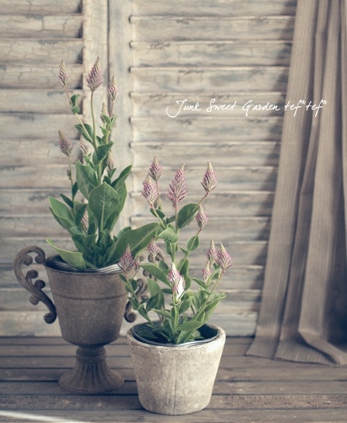 �ץ������������������륿�ĥ����إ��硼����