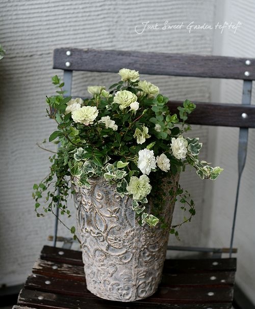 ڻߡۥʥƥȡݥå2åȡ