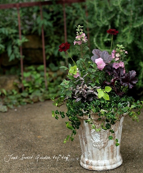 ڻߡۥ롦饦ɥݥåȡƥۥ磻