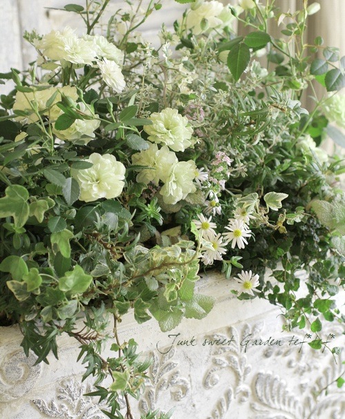 �ڻ��ߡۥ����ʥ��ƥ��쥯�ȥݥåȡ�L������