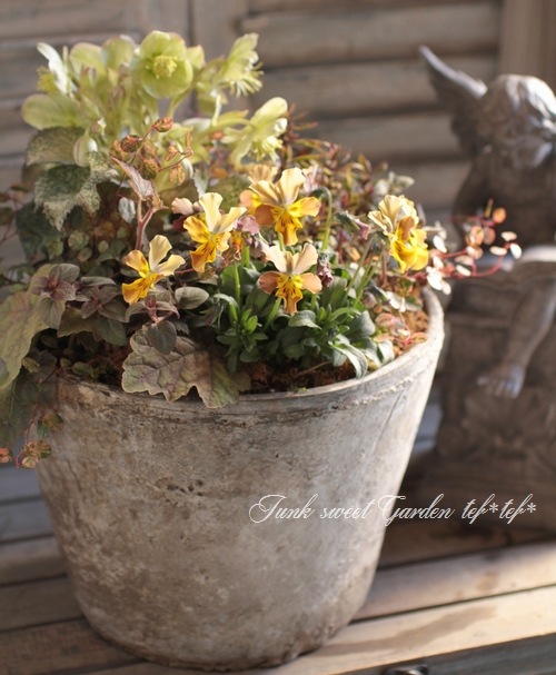 ڻߡۥƥۥ磻ȡݥå 25cm