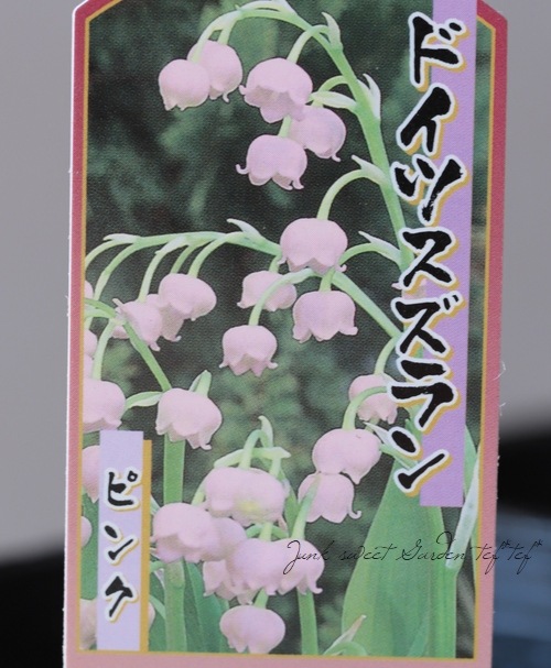 球根植物 ドイツスズラン ピンク すべての商品 Junk Sweet Garden Tef Tef
