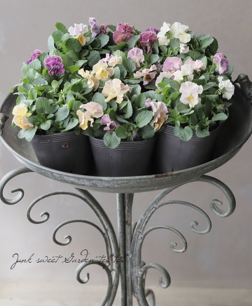 ����B��F��S collaboration�� �ߤ�ȥ���ܥӥ��顡��A88��