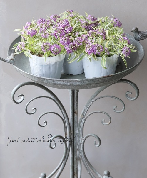 �����ꥢ��å��ࡡ�إϥåԡ��ݥ�ݥ��