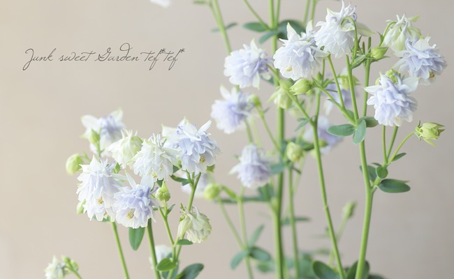 Ȭ�ź餭�����ޥ����إ����ƥ�����֥롼�� 