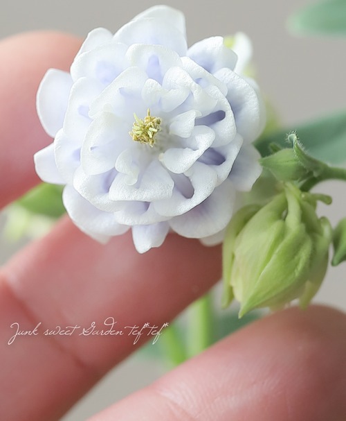Ȭ�ź餭�����ޥ����إ����ƥ�����֥롼�� 