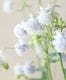 Ȭ�ź餭�����ޥ����إ����ƥ�����֥롼�� 