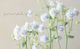 Ȭ�ź餭�����ޥ����إ����ƥ�����֥롼�� 