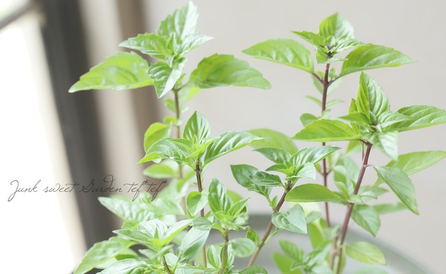 �ڲ����ڱ�ۡ��Х��롡�إ����Х��� ��