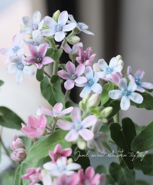 3_000000013650.jpg?1678209903