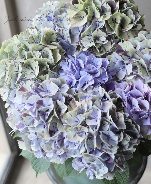 アンティーク紫陽花 『旭の舞姫』 【秋色の状態】 | すべての商品