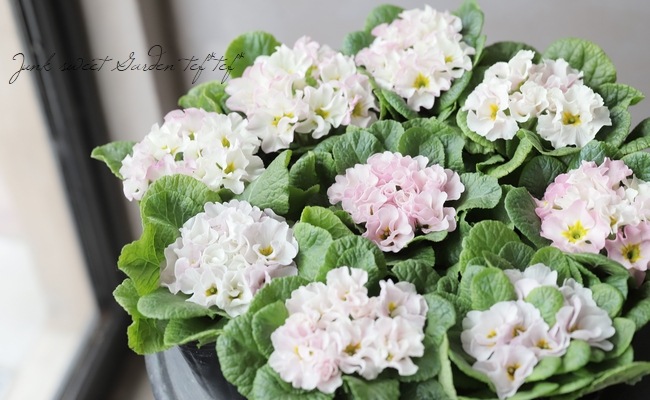 専用　ブライダルベール　プリムラジュリアン　れんげそう　すずらん　クレイフラワー 専用 ブライダルベール プリムラジュリアン れんげそう すずらん