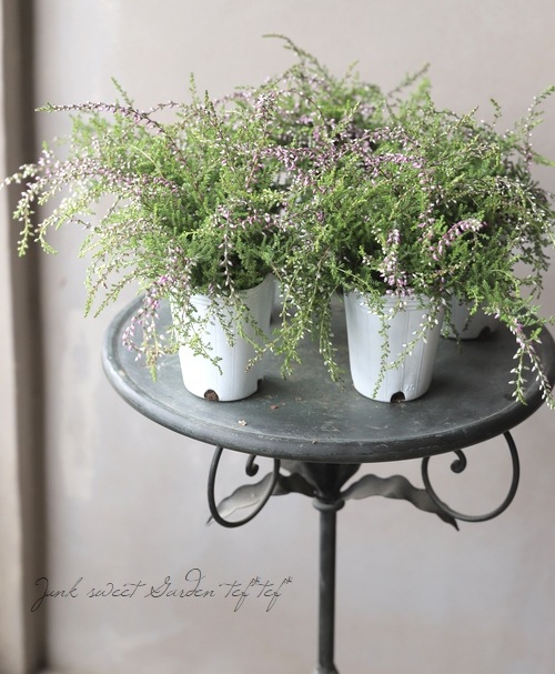 餭롼ʡإԥ󥰥롼ʡ١