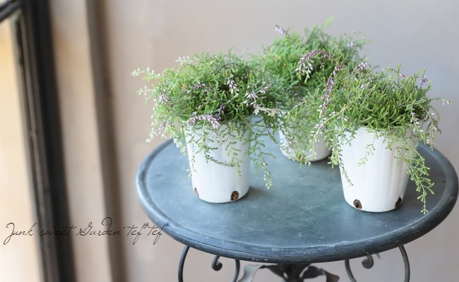 餭롼ʡإԥ󥰥롼ʡ١