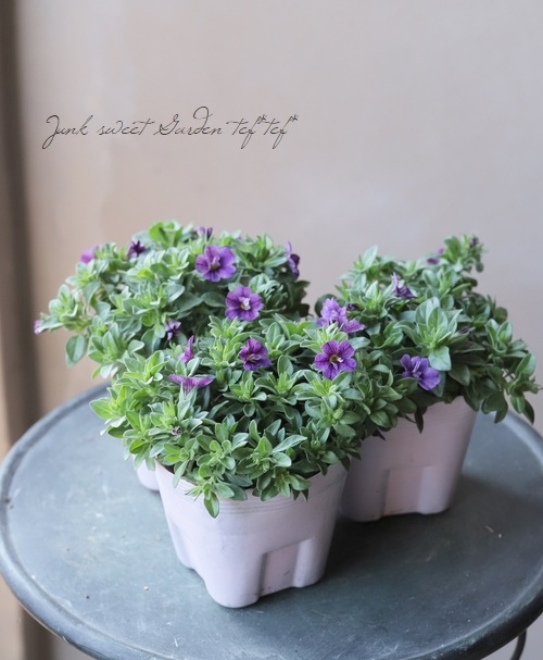 ֥餵Υ֥饳 إե꡼ޥ