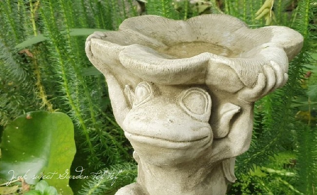 �ڻ��ߡ� �ѹ�SPARTA STATUES ��Frog Dish�� �����ǥ󥪡��ʥ���