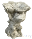 �ڻ��ߡ� �ѹ�SPARTA STATUES ��Frog Dish�� �����ǥ󥪡��ʥ���