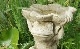 �ڻ��ߡ� �ѹ�SPARTA STATUES ��Frog Dish�� �����ǥ󥪡��ʥ���