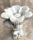 �ڻ��ߡ� �ѹ�SPARTA STATUES ��Frog Dish�� �����ǥ󥪡��ʥ���