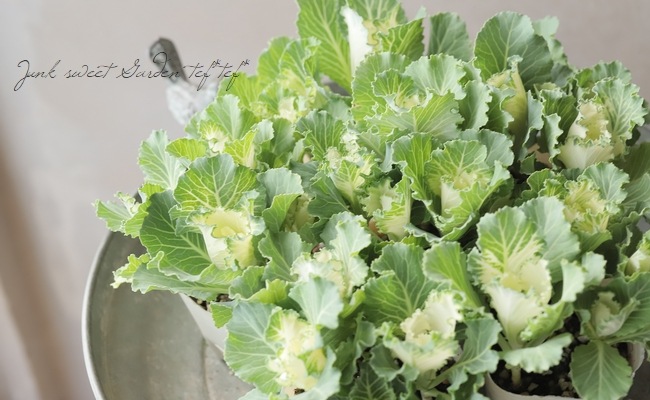 ���ղ�ð�����å���󥷥꡼�����إޥ���ޥ���