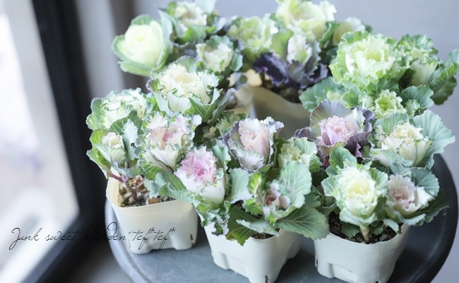 ���ղ�ð�����å���󥷥꡼�����إޥ���ޥ���